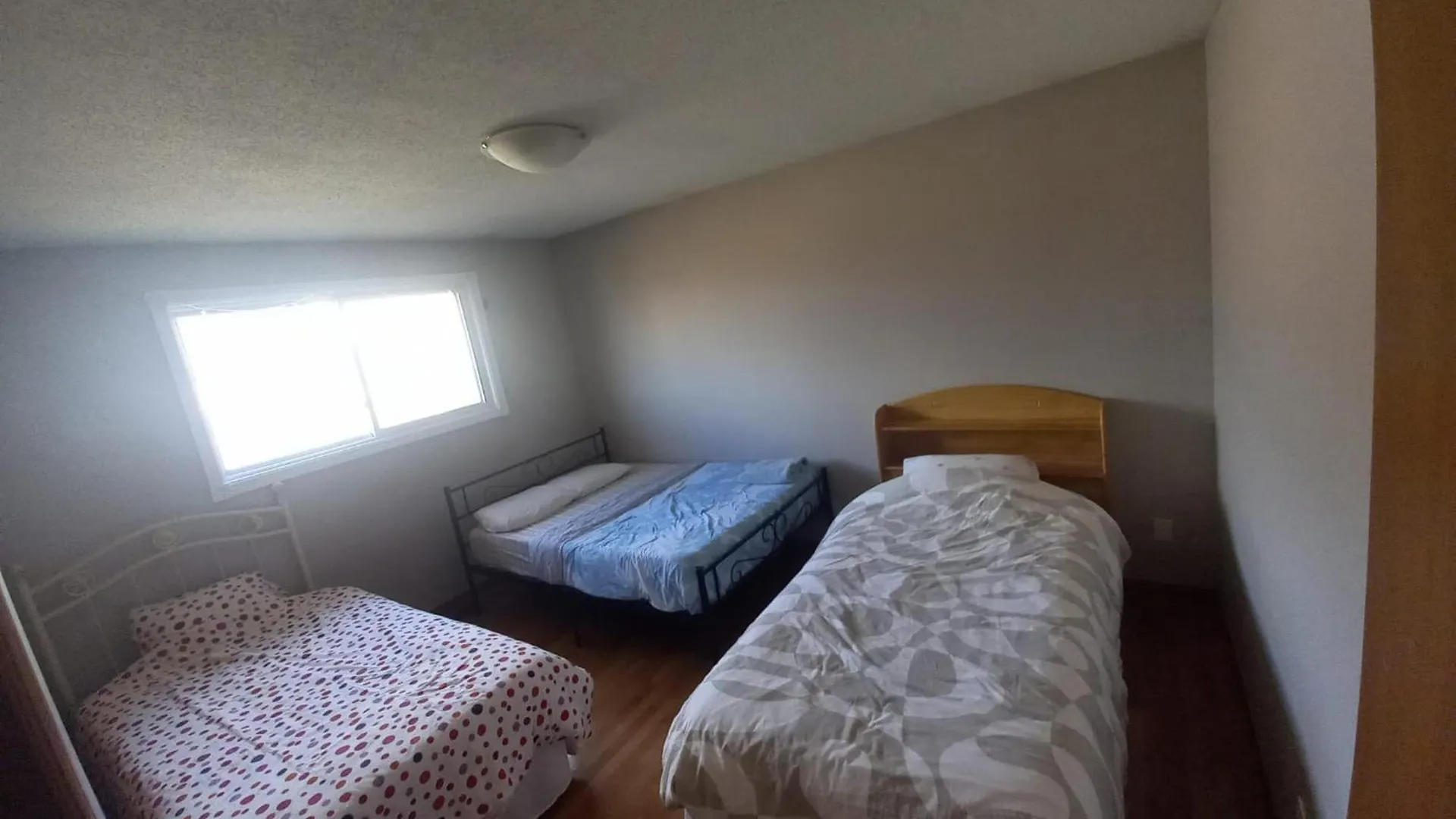 Homestay Free Stay At Kitchener-Just Taxes And Fee-Near Conestoga College-Downtown